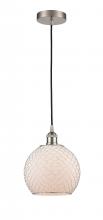 FARMHOUSE CHICKEN WIRE